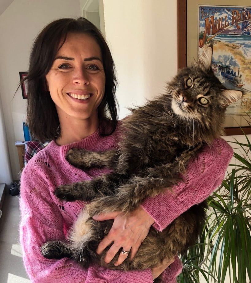 Maine Coon Central Profile Picture