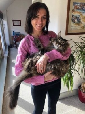 Maine Coon Profile Picture