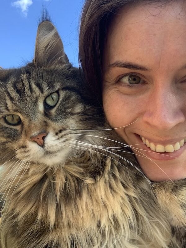 Bali the Maine Coon cat and Katrina Stewardson. Female holding big cat!