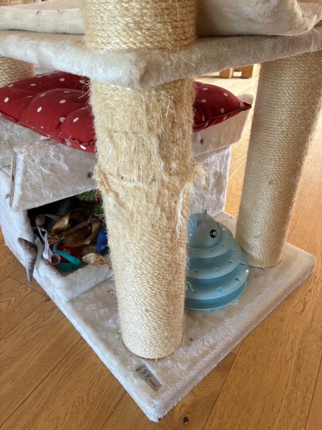Damage of cat tree sisal after 5 years use, and three Maine Coon cats.