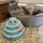 Mika sat next to tower of tracks toy