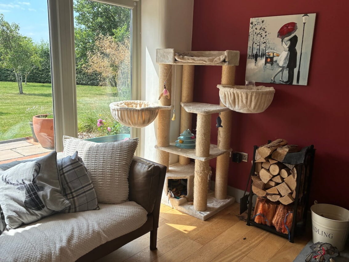 My RHR Quality Large Maine Coon Cat Tree