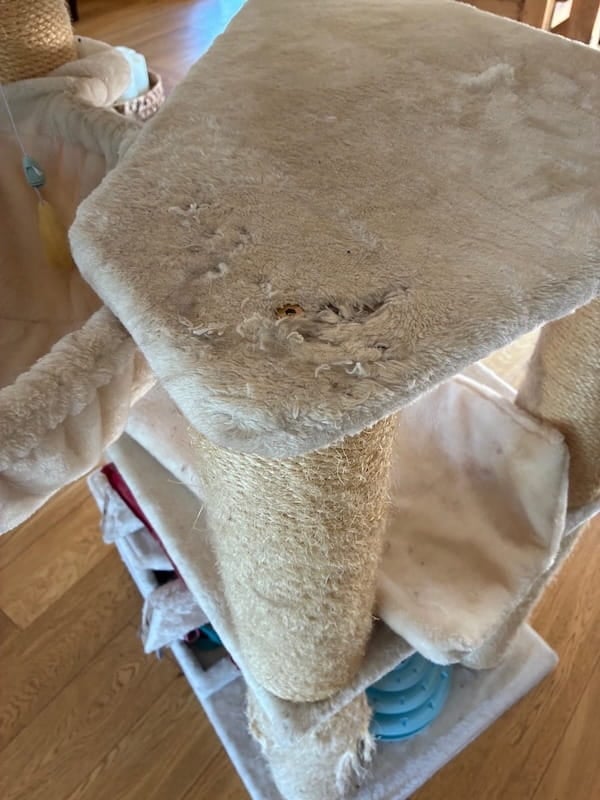 Our cat scratching post with wear and tear damage from cat landings