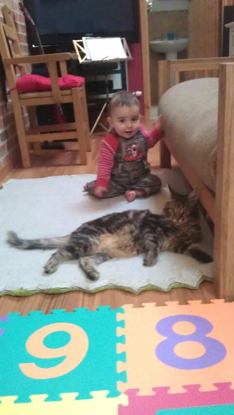 Pippin as a kitten sat next to Zachary as a toddler