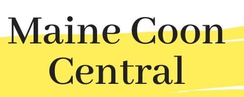 Maine Coon Central Logo 480x480 Tag Removed